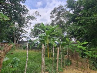 Foto 3 de Si buscas un lugar tranquilo para vivir, Lamas es perfecto. ¡Y tengo un terreno donde puedes construir tu casa desde cero!