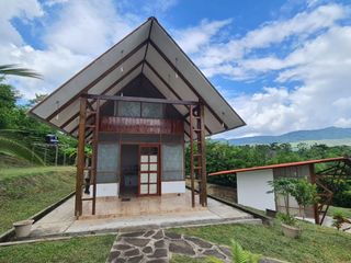 Foto 5 de Tengo una casa de campo que te vendría genial. Tranquila, espaciosa, con internet para trabajar y rodeada de naturaleza. ¿Te interesa?