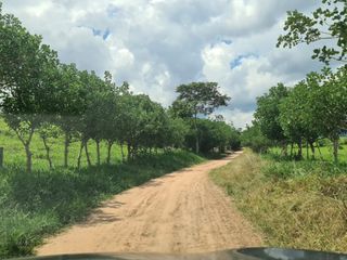 Foto 11 de Terreno de 1925 m² con gran potencial: Si les gusta la vida en el campo, pero no quieren estar aislados, esta es una buena opción.