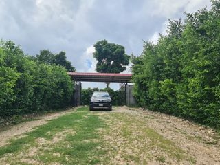 Foto 9 de Terreno de 1925 m² con gran potencial: Si les gusta la vida en el campo, pero no quieren estar aislados, esta es una buena opción.