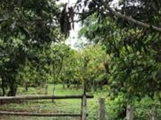 Foto 5 de HACIENDA DE VENTA EN PROVINCIA DE MANABI