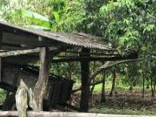 Foto 7 de HACIENDA DE VENTA EN PROVINCIA DE MANABI