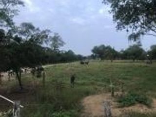 Foto 9 de HACIENDA DE VENTA EN PROVINCIA DE MANABI