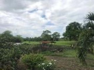 Foto 11 de HACIENDA DE VENTA EN PROVINCIA DE MANABI