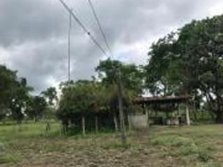Foto 12 de HACIENDA DE VENTA EN PROVINCIA DE MANABI