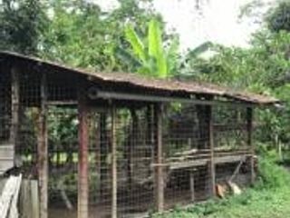 Foto 13 de HACIENDA DE VENTA EN PROVINCIA DE MANABI
