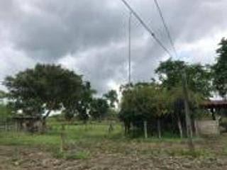 Foto 14 de HACIENDA DE VENTA EN PROVINCIA DE MANABI