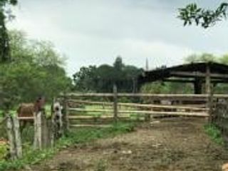 Foto 15 de HACIENDA DE VENTA EN PROVINCIA DE MANABI
