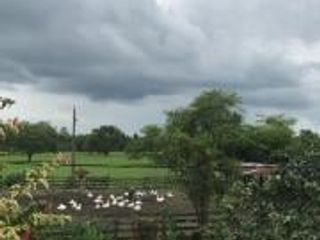 Foto 16 de HACIENDA DE VENTA EN PROVINCIA DE MANABI