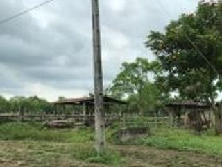 Foto 19 de HACIENDA DE VENTA EN PROVINCIA DE MANABI
