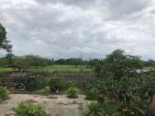 Foto 23 de HACIENDA DE VENTA EN PROVINCIA DE MANABI