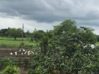 Foto 24 de HACIENDA DE VENTA EN PROVINCIA DE MANABI