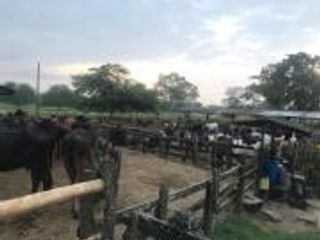 Foto 1 de HACIENDA DE VENTA EN PROVINCIA DE MANABI