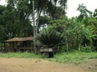 Foto 3 de HACIENDA DE VENTA EN PROVINCIA DE MANABI