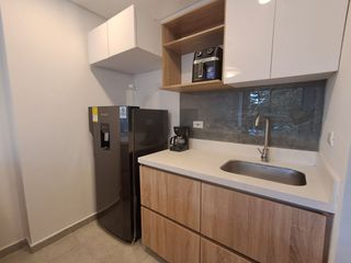 Foto 7 de Arriendo apartaestudio Amoblado San Luis - monoambiente