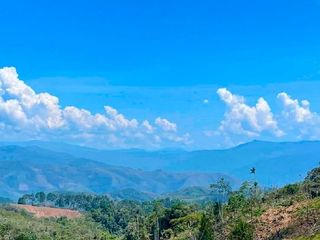 Foto 5 de Fundo Bocatigre II: Tu Refugio Natural En El Corazón De La Selva Peruana