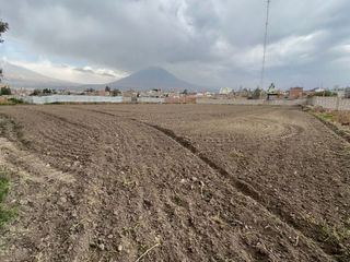 Foto 4 de Terreno Urbano en venta en Arequipa - Av. Daniel Alcides Carrion
