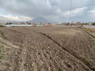 Foto 6 de Terreno Urbano en venta en Arequipa - Av. Daniel Alcides Carrion
