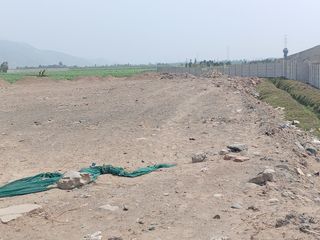 Foto 2 de VENTA DE TERRENO EN CHANCAY, 1.15 HAS Y 1.22 HAS, ALTURA KM 74-75, TERRENO IDEAL PARA GRIFO