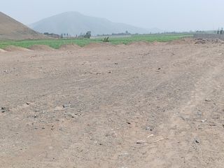 Foto 4 de VENTA DE TERRENO EN CHANCAY, 1.15 HAS Y 1.22 HAS, ALTURA KM 74-75, TERRENO IDEAL PARA GRIFO