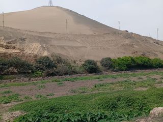 Foto 6 de VENTA DE TERRENO EN CHANCAY, 1.15 HAS Y 1.22 HAS, ALTURA KM 74-75, TERRENO IDEAL PARA GRIFO