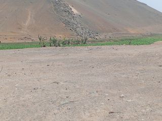 Foto 11 de VENTA DE TERRENO EN CHANCAY, 1.15 HAS Y 1.22 HAS, ALTURA KM 74-75, TERRENO IDEAL PARA GRIFO