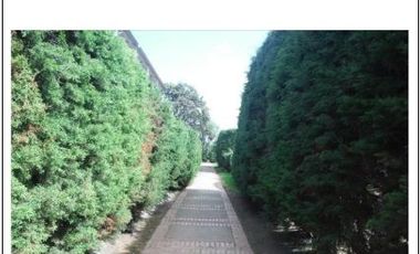 place photo 89