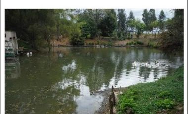 place photo 102