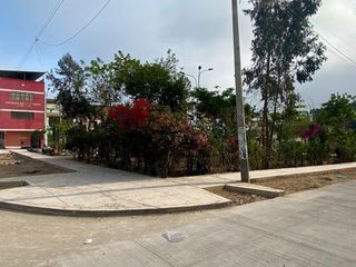 Foto 5 de Vendo Casa cerca del Parque Zonal Huascar  Urb. Pachacamac
