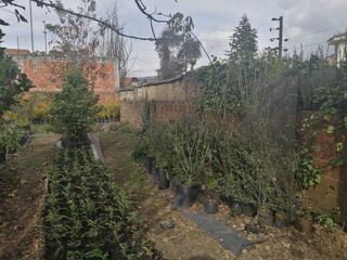 Foto 43 de CASA EN VENTA EN SAN JOSÉ DE BAVARIA