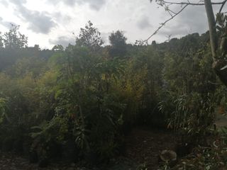 Foto 45 de CASA EN VENTA EN SAN JOSÉ DE BAVARIA