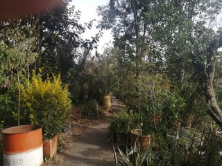 Foto 46 de CASA EN VENTA EN SAN JOSÉ DE BAVARIA