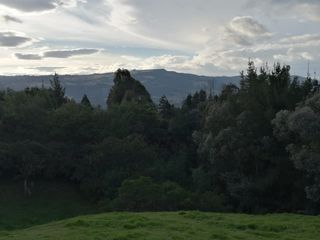 Foto 11 de CASA CAMPESTRE EN VENTA EN LA VÍA LA CALERA - SOPÓ