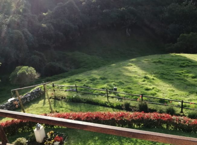 place photo 44