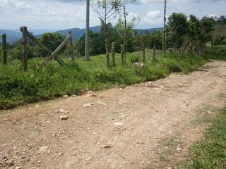 Foto 1 de Venta de Lotes en Icononzo (Tolima), a 1 hora de Melgar