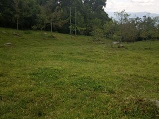 Foto 3 de Venta de Lotes en Icononzo (Tolima), a 1 hora de Melgar