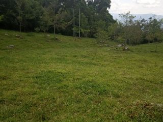 Foto 4 de Venta de Lotes en Icononzo (Tolima), a 1 hora de Melgar
