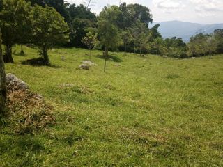 Foto 5 de Venta de Lotes en Icononzo (Tolima), a 1 hora de Melgar