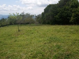 Foto 6 de Venta de Lotes en Icononzo (Tolima), a 1 hora de Melgar
