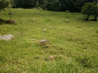 Foto 7 de Venta de Lotes en Icononzo (Tolima), a 1 hora de Melgar