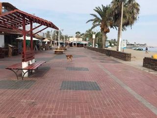Foto 1 de SE VENDE TERRENO PARACAS