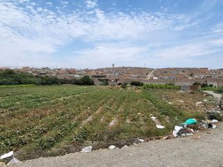 Foto 4 de Terreno rustico al pie del Km. 148 de la Panamericana Norte - HUACHO