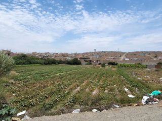 Foto 5 de Terreno rustico al pie del Km. 148 de la Panamericana Norte - HUACHO
