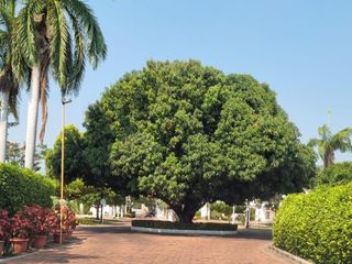 Foto 21 de CASA CAMPESTRE EN VENTA EN GIRARDOT