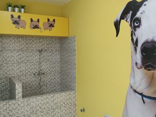 Foto 12 de Nuevo Proyecto De Depas En Santa Beatriz🏡🏠