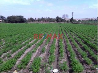 Foto 1 de 1122956 Terreno Agricola Luriama Distrito De Santa Maria