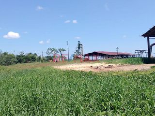 Foto 7 de Terreno Comercial En Rumo Cocha - Carretera A Santa Clara Km.3.4 - Maynas Loreto