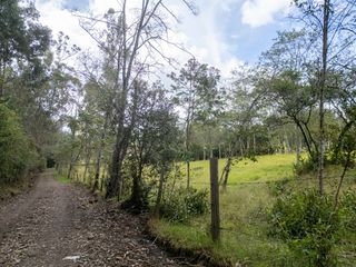 Foto 5 de Oportunidad : Muy bonito lote en Villa de Leyva