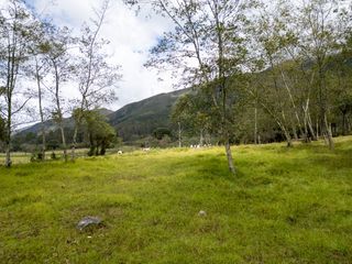 Foto 1 de Oportunidad : Muy bonito lote en Villa de Leyva