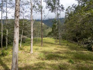 Foto 2 de Oportunidad : Muy bonito lote en Villa de Leyva